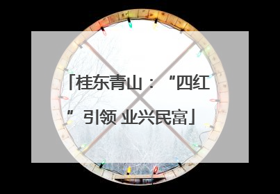 桂东青山：“四红”引领 业兴民富
