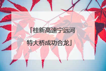 桂新高速宁远河特大桥成功合龙