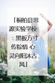 桐柏县思源实验学校：黑板方寸传粽情 心灵向阳沐古风