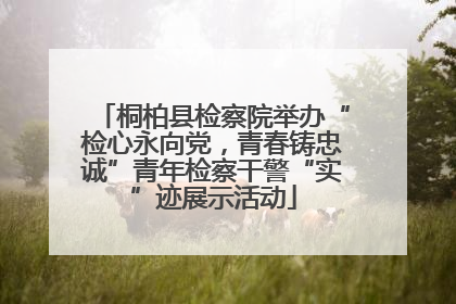 桐柏县检察院举办“检心永向党，青春铸忠诚”青年检察干警“实”迹展示活动