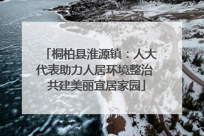 桐柏县淮源镇：人大代表助力人居环境整治 共建美丽宜居家园
