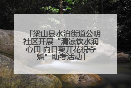 梁山县水泊街道公明社区开展“清凉饮水润心田 向日葵开花祝夺魁”助考活动