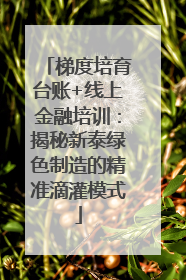 梯度培育台账+线上金融培训：揭秘新泰绿色制造的精准滴灌模式