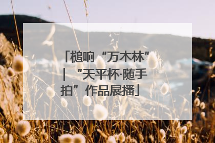 槌响“万木林”｜“天平杯·随手拍”作品展播