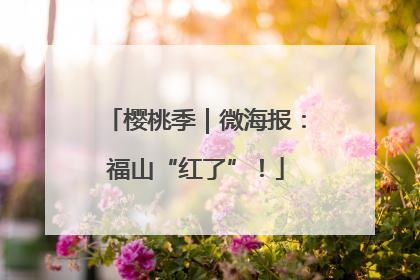 樱桃季｜微海报：福山“红了”！
