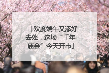 欢度端午又添好去处，这场“千年庙会”今天开市