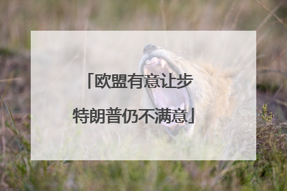 欧盟有意让步 特朗普仍不满意