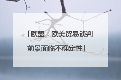 欧盟：欧美贸易谈判前景面临不确定性