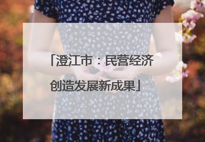 澄江市：民营经济创造发展新成果