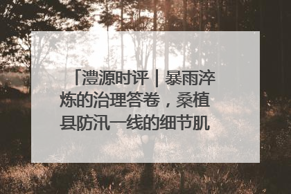 澧源时评｜暴雨淬炼的治理答卷，桑植县防汛一线的细节肌理与体系力量