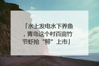 水上发电水下养鱼，青岛这个村百亩竹节虾抢“鲜”上市