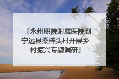 永州职院附属医院到宁远县桑梓头村开展乡村振兴专题调研