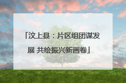 汶上县：片区组团谋发展 共绘振兴新画卷