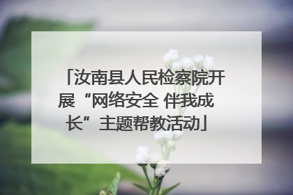 汝南县人民检察院开展“网络安全 伴我成长”主题帮教活动