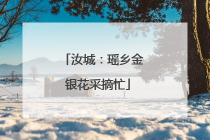 汝城：瑶乡金银花采摘忙