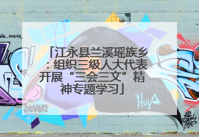 江永县兰溪瑶族乡：组织三级人大代表开展“三会三文”精神专题学习