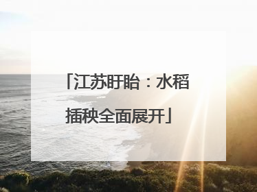 江苏盱眙：水稻插秧全面展开