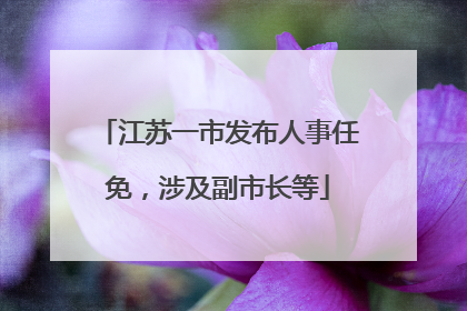 江苏一市发布人事任免，涉及副市长等