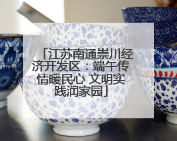 江苏南通崇川经济开发区：端午传情暖民心 文明实践润家园