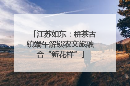 江苏如东：栟茶古镇端午解锁农文旅融合“新花样”