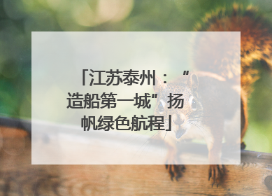 江苏泰州：“造船第一城”扬帆绿色航程