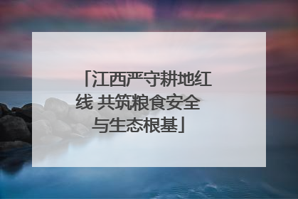 江西严守耕地红线 共筑粮食安全与生态根基