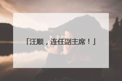 汪顺，连任副主席！