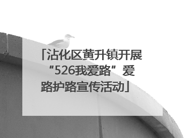 沾化区黄升镇开展“526我爱路”爱路护路宣传活动