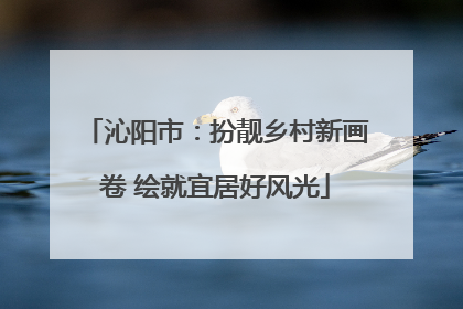 沁阳市：扮靓乡村新画卷 绘就宜居好风光