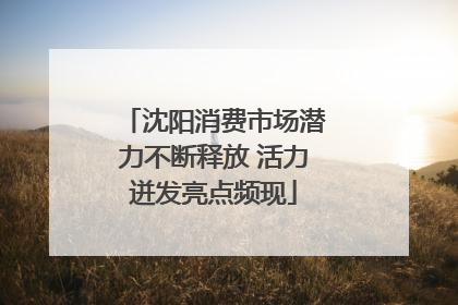 沈阳消费市场潜力不断释放 活力迸发亮点频现