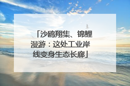 沙鸥翔集、锦鲤漫游：这处工业岸线变身生态长廊