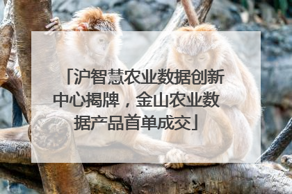 沪智慧农业数据创新中心揭牌，金山农业数据产品首单成交