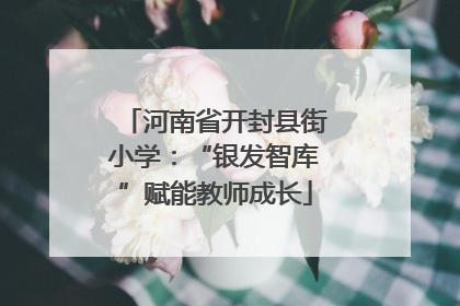 河南省开封县街小学：“银发智库”赋能教师成长