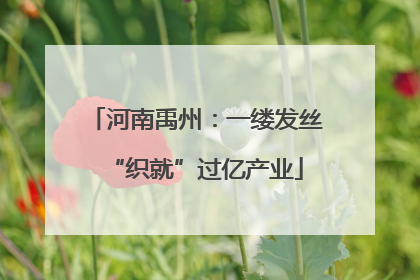 河南禹州：一缕发丝“织就”过亿产业