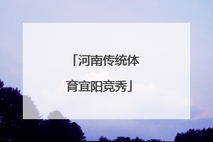 河南传统体育宜阳竞秀