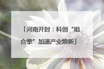 河南开封：科创“组合拳”加速产业焕新