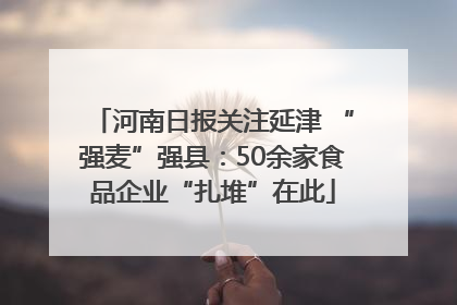 河南日报关注延津 “强麦”强县：50余家食品企业“扎堆”在此