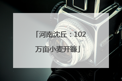 河南沈丘：102 万亩小麦开镰