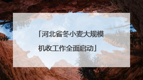 河北省冬小麦大规模机收工作全面启动