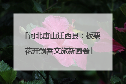 河北唐山迁西县：板栗花开飘香文旅新画卷