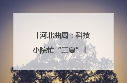 河北曲周：科技小院忙“三夏”