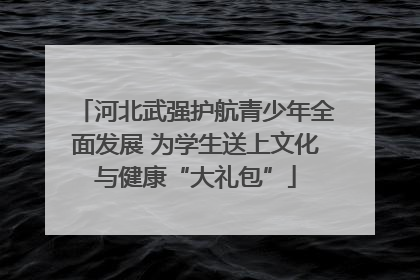 河北武强护航青少年全面发展 为学生送上文化与健康“大礼包”