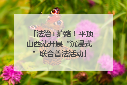 法治+护路！平顶山西站开展“沉浸式”联合普法活动