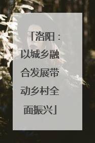 洛阳：以城乡融合发展带动乡村全面振兴