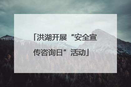 洪湖开展“安全宣传咨询日”活动