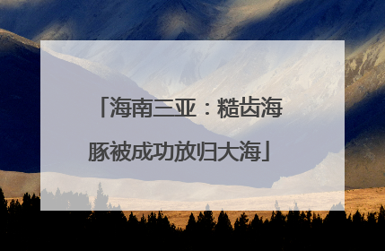 海南三亚：糙齿海豚被成功放归大海