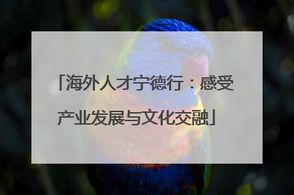 海外人才宁德行：感受产业发展与文化交融