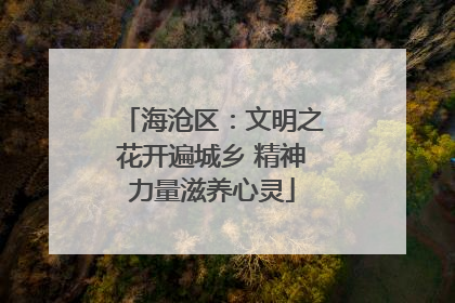 海沧区：文明之花开遍城乡 精神力量滋养心灵