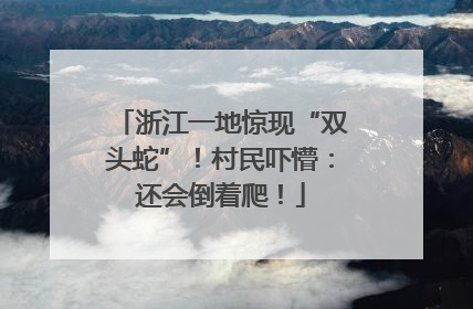 浙江一地惊现“双头蛇”！村民吓懵：还会倒着爬！