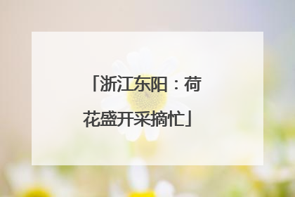浙江东阳：荷花盛开采摘忙